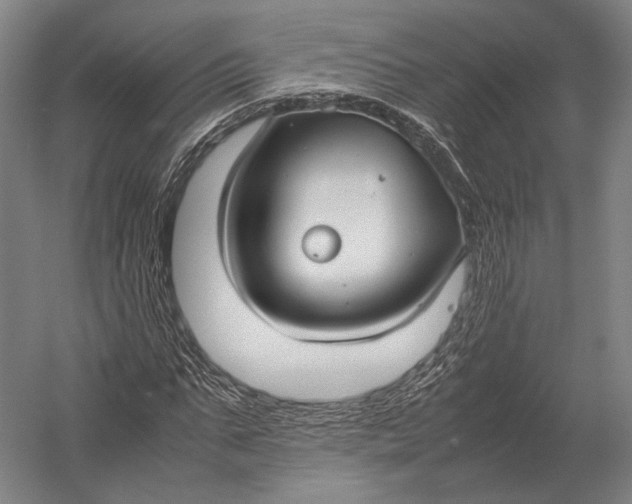 X0000052970871200507300135