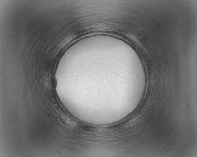 X0000052970873200507300135