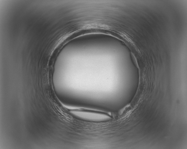 X0000052970877200507300135