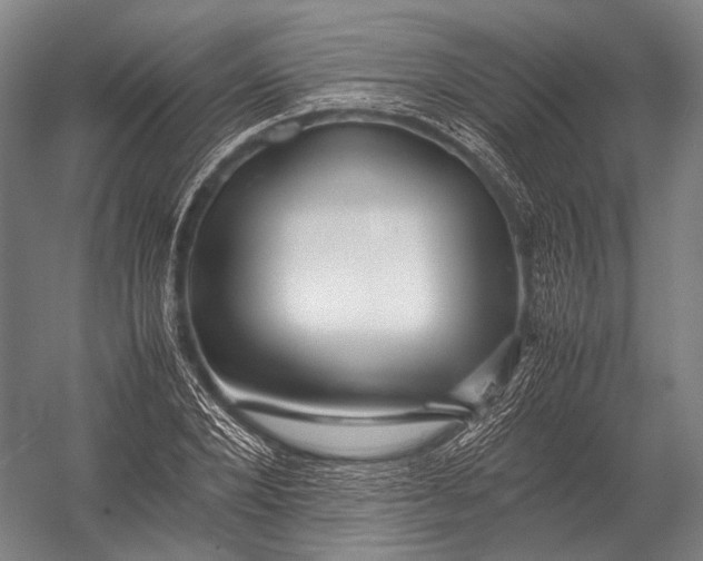 X0000052970880200507300135