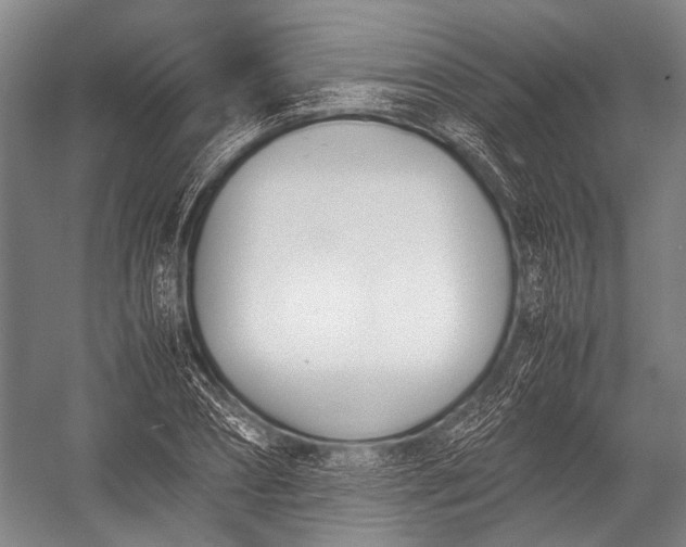 X0000052970882200507300134