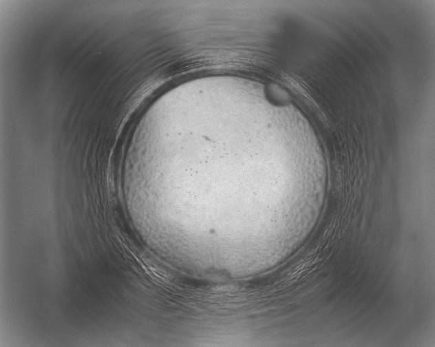 X0000052970883200507300134