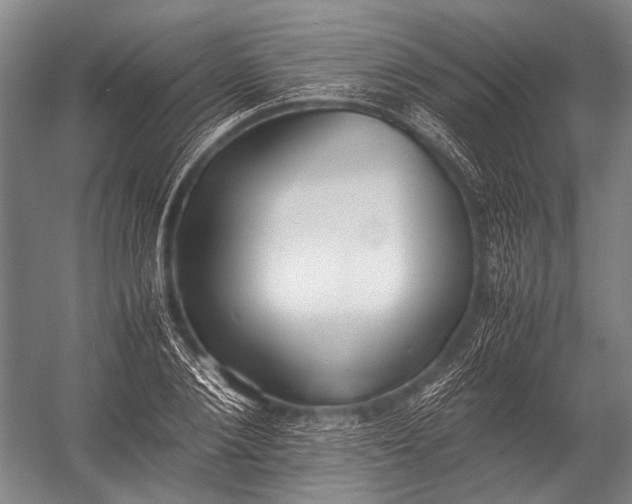 X0000052970884200507300134