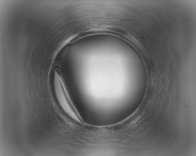 X0000052970885200507300134