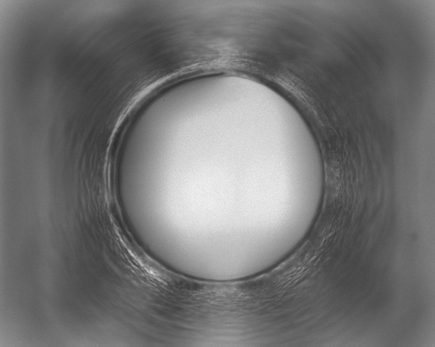 X0000052970886200507300134