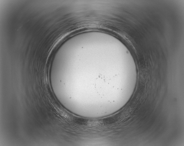 X0000052970887200507300134