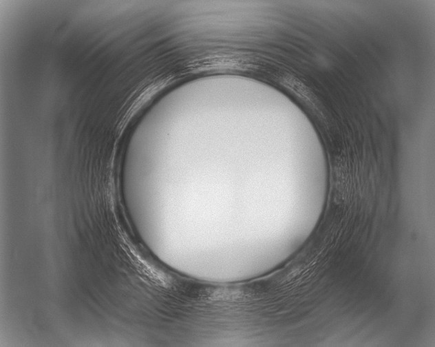 X0000052970890200507300134