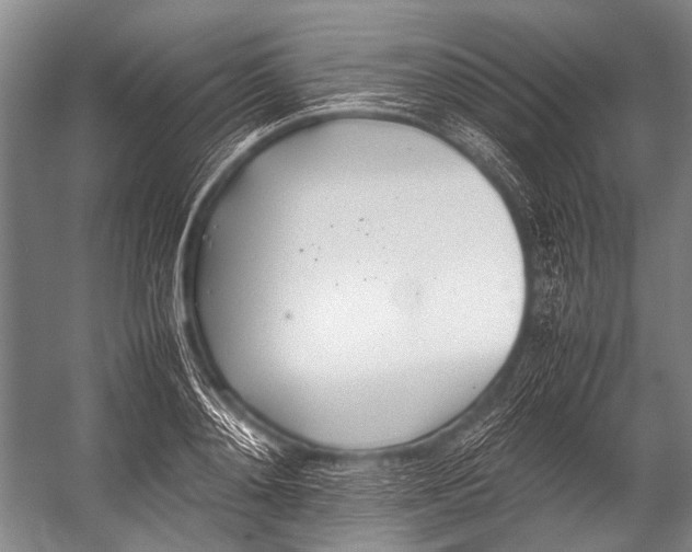 X0000052970892200507300134