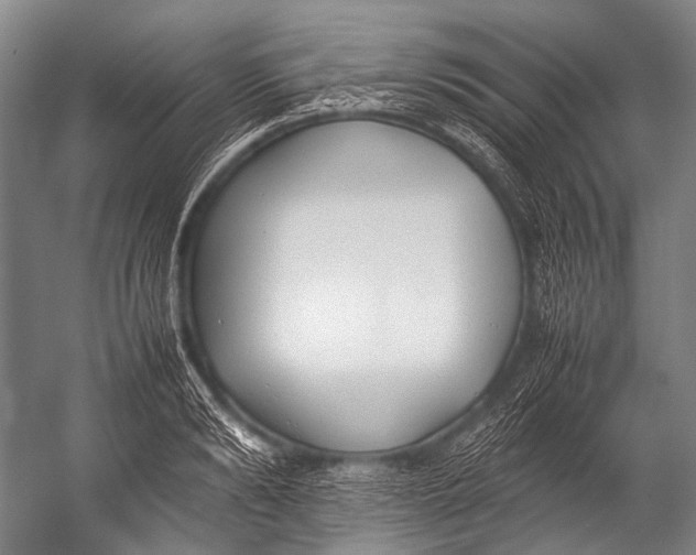 X0000052970894200507300134
