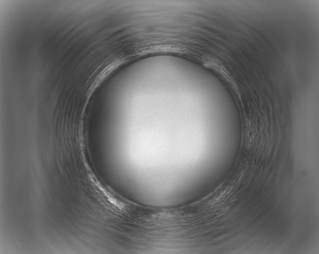 X0000052970898200507300134