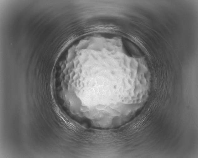 X0000052970899200507300134