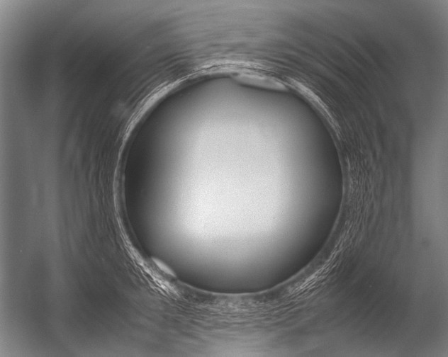 X0000052970901200507300134