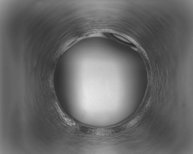 X0000052970905200507300134