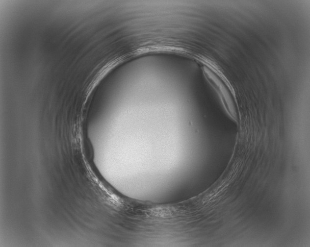 X0000052970906200507300134