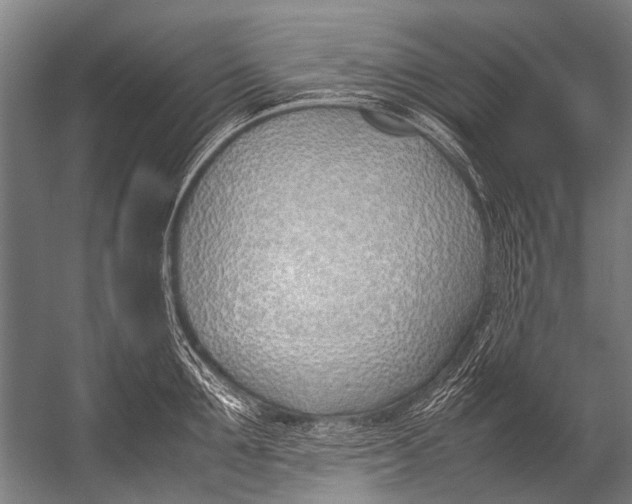X0000052970907200507300134