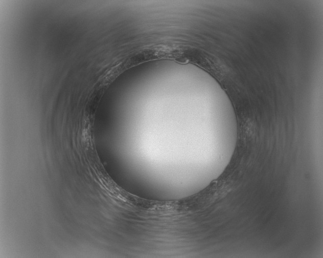 X0000052970914200507300133
