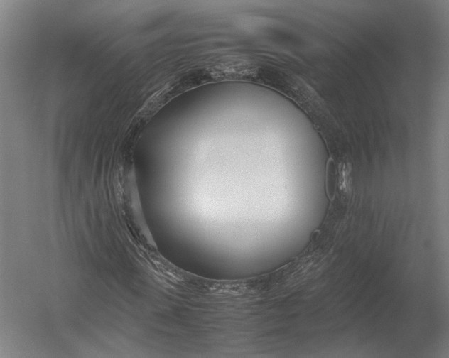 X0000052970915200507300133