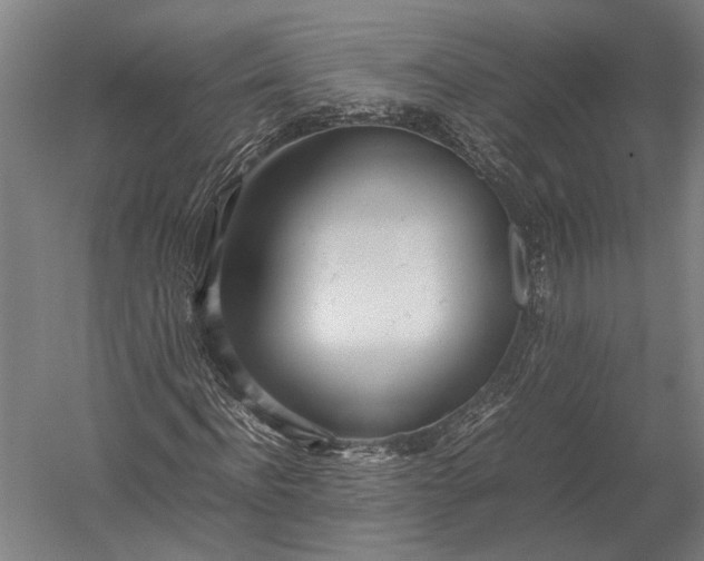 X0000052970916200507300133