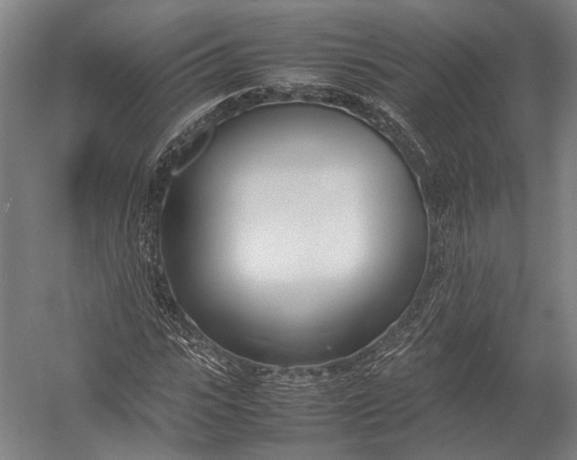 X0000052970919200507300133