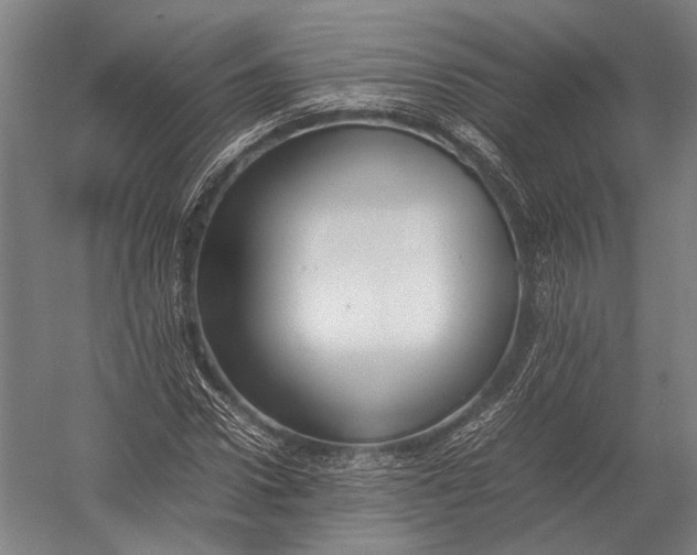 X0000052970922200507300133