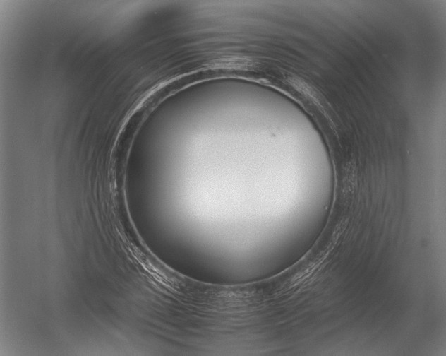 X0000052970923200507300133