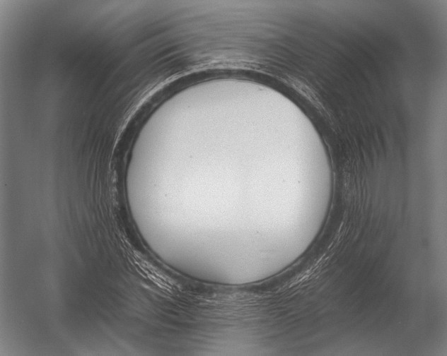 X0000052970926200507300133