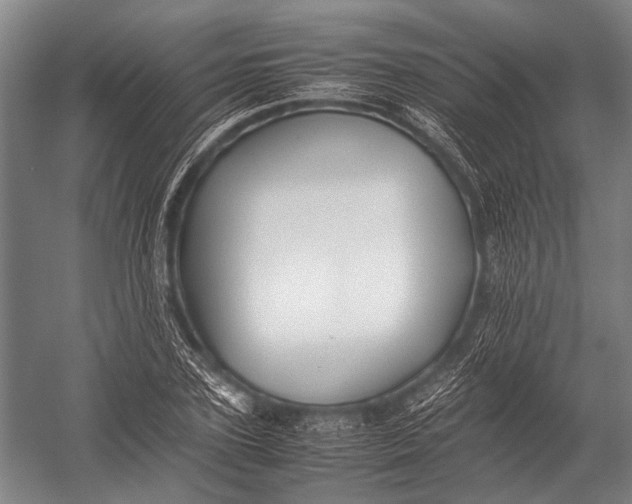 X0000052970931200507300133