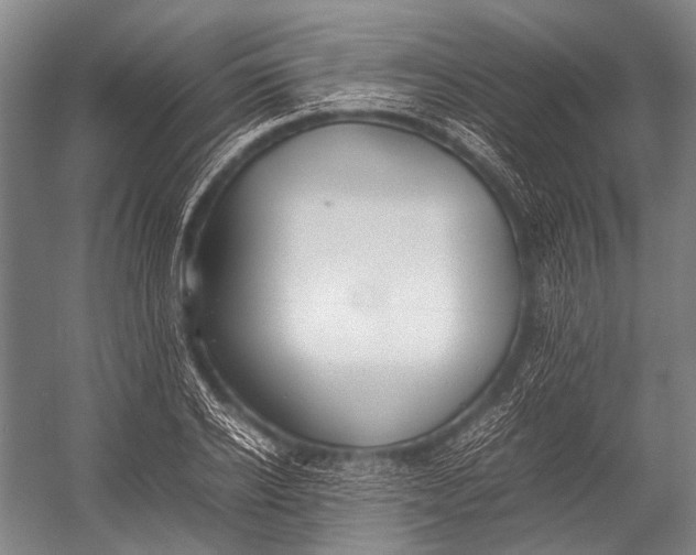 X0000052970934200507300133
