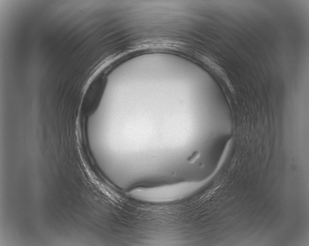 X0000052970936200507300134