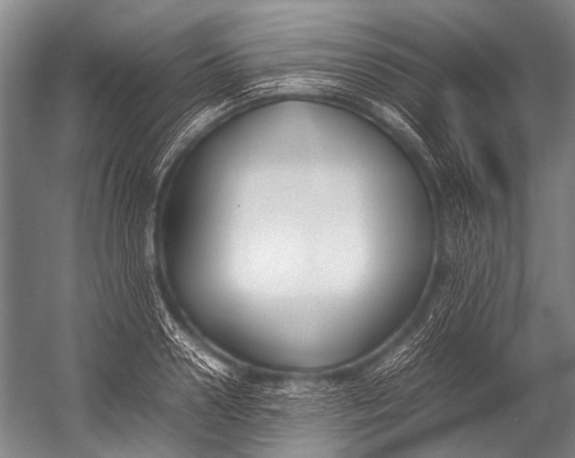 X0000052970938200507300134