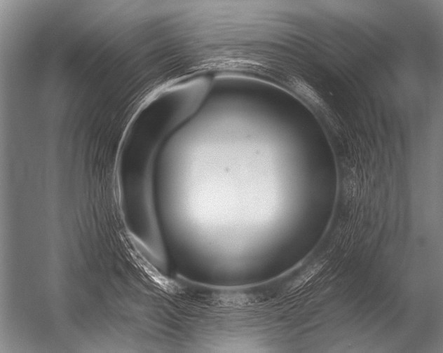 X0000052970940200507300134