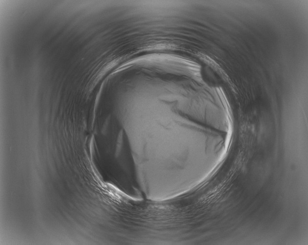 X0000052970945200507300134