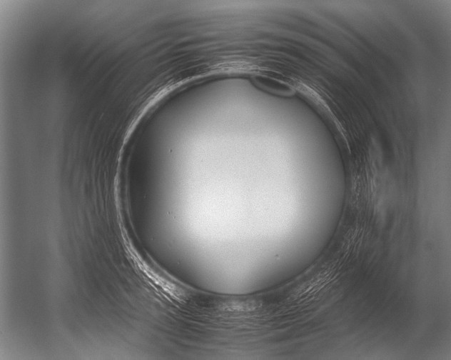 X0000052970947200507300134