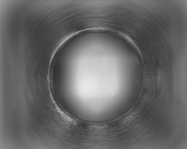 X0000052970951200507300134