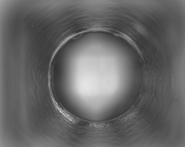 X0000052970955200507300134