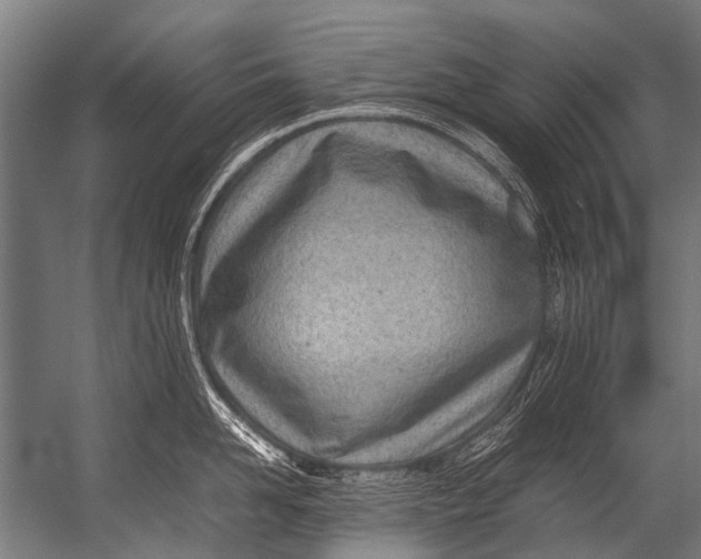 X0000052970958200507300134