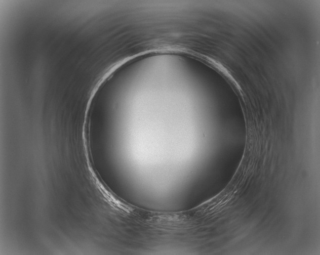 X0000052970959200507300134