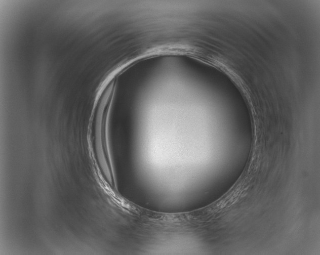 X0000052970960200507300134