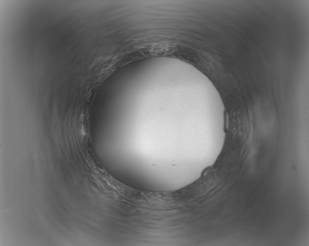 X0000052970962200507300133