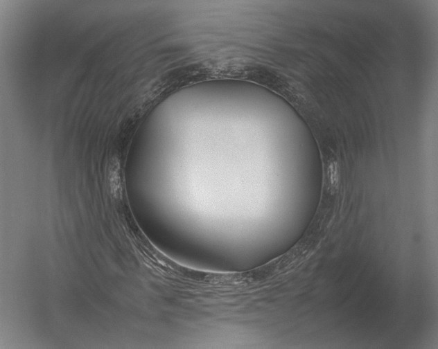 X0000052970963200507300133