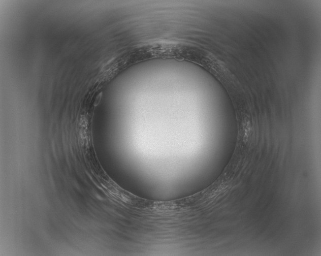 X0000052970964200507300133