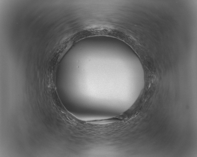 X0000052970965200507300133