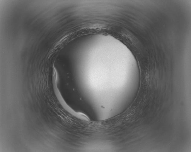 X0000052970968200507300133