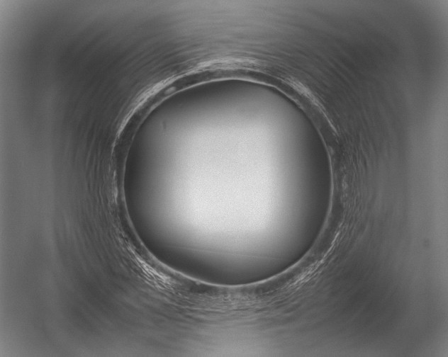 X0000052970973200507300133