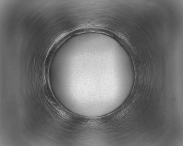 X0000052970974200507300133