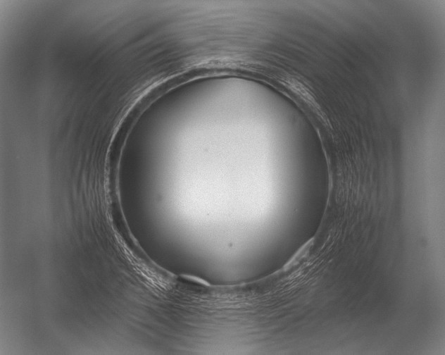 X0000052970976200507300133