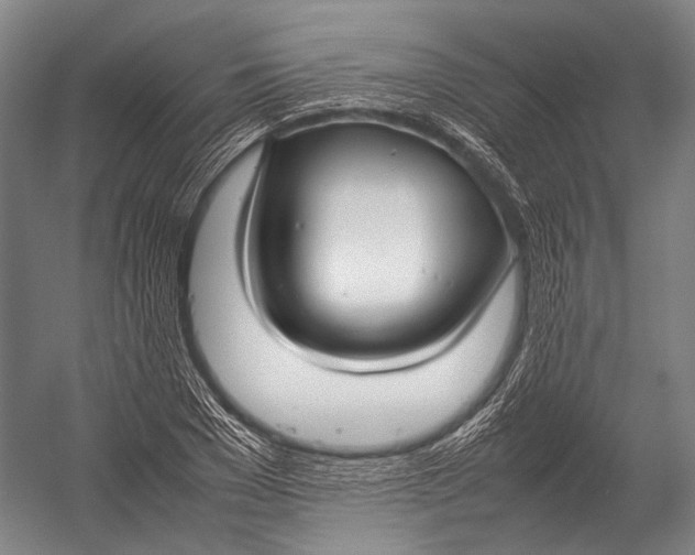 X0000052970977200507300133