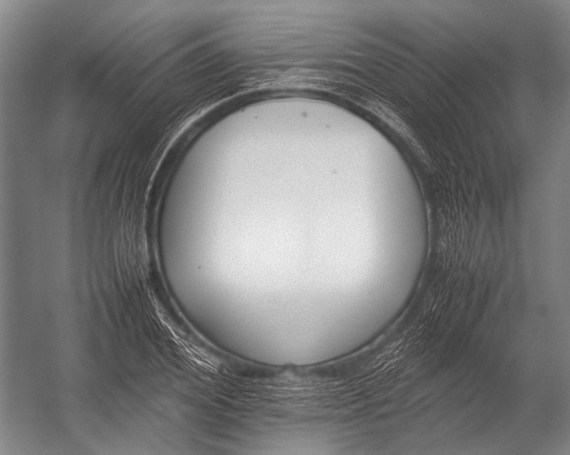 X0000052970980200507300133