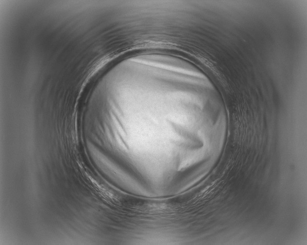 X0000052970982200507300133