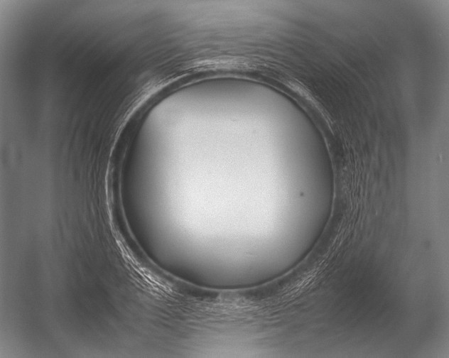 X0000052970983200507300133